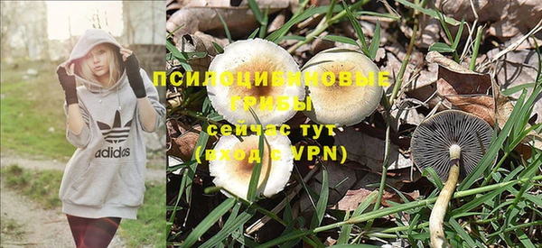 кокс Горнозаводск
